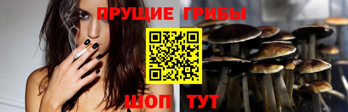 купить  сайты  Вход с VPN  Галлюциногенные грибы GOLDEN TEACHER  Алексин  Псилоцибиновые грибы Psilocybe 